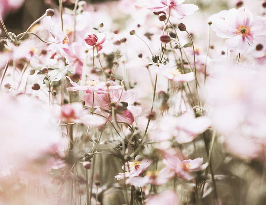 How to Love Yourself