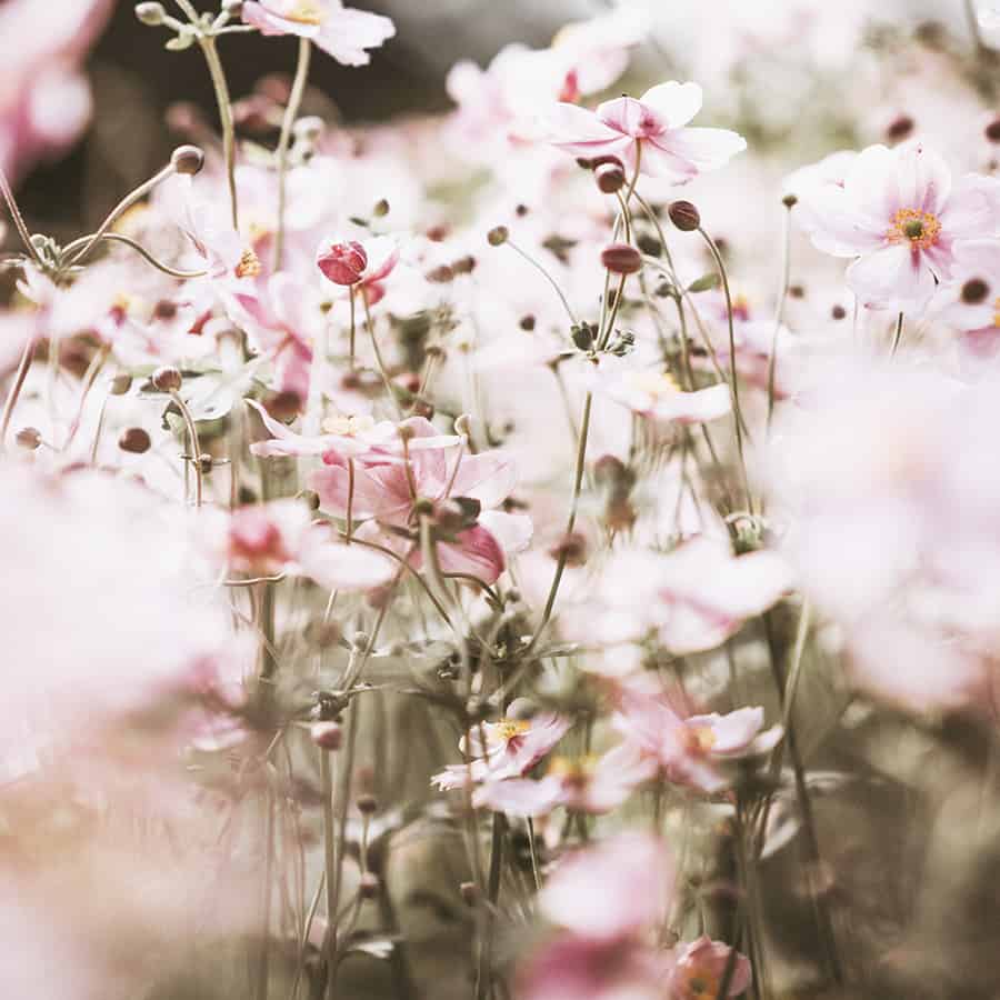 How to Love Yourself