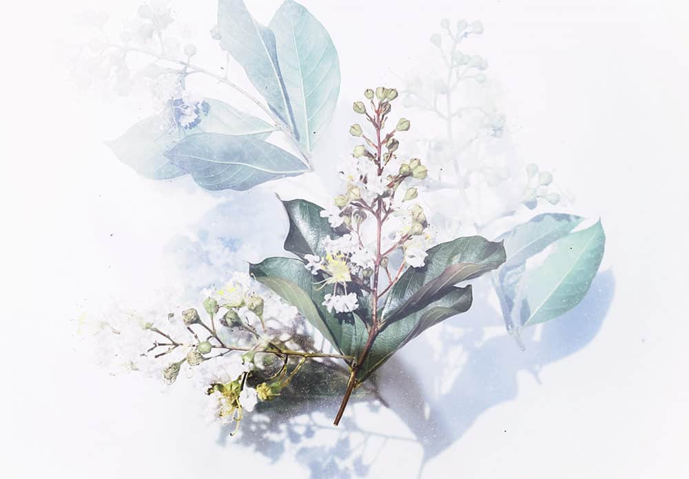 how to find your art style