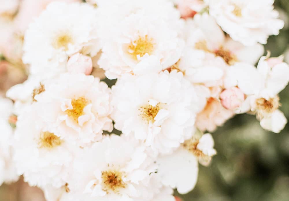 Art and Creativity Quotes