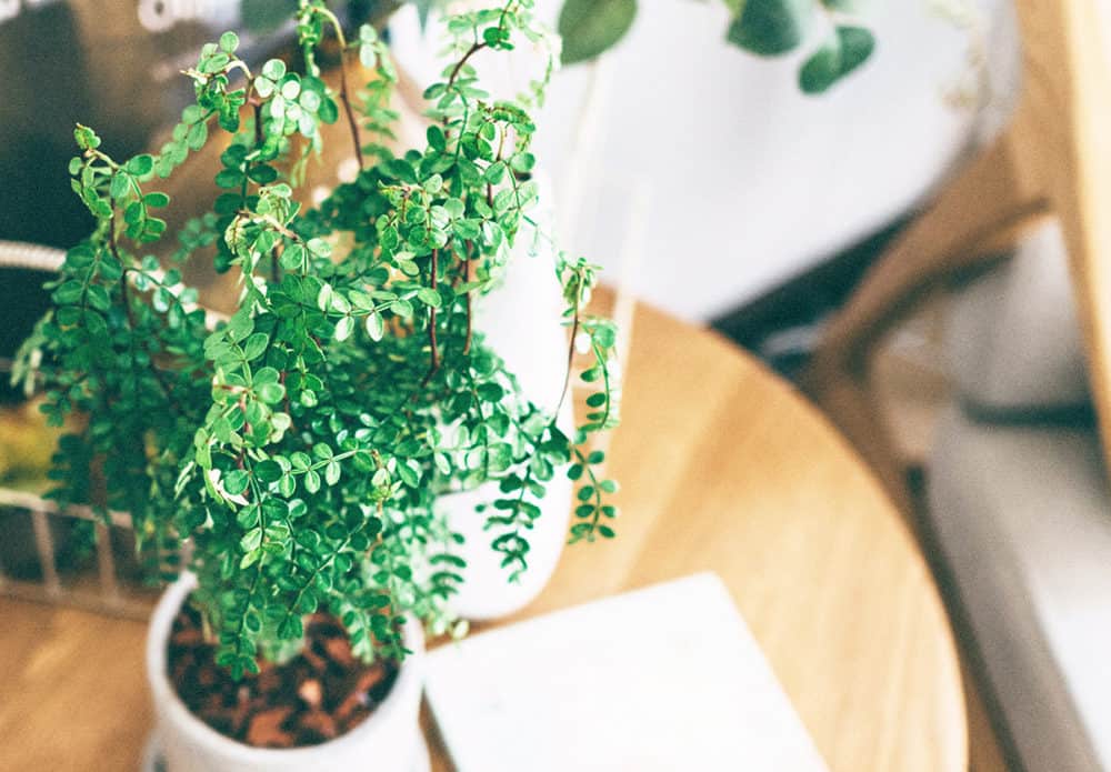 Life Lessons Learned