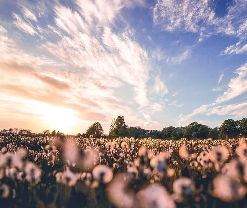 life-changing motivational videos for self growth