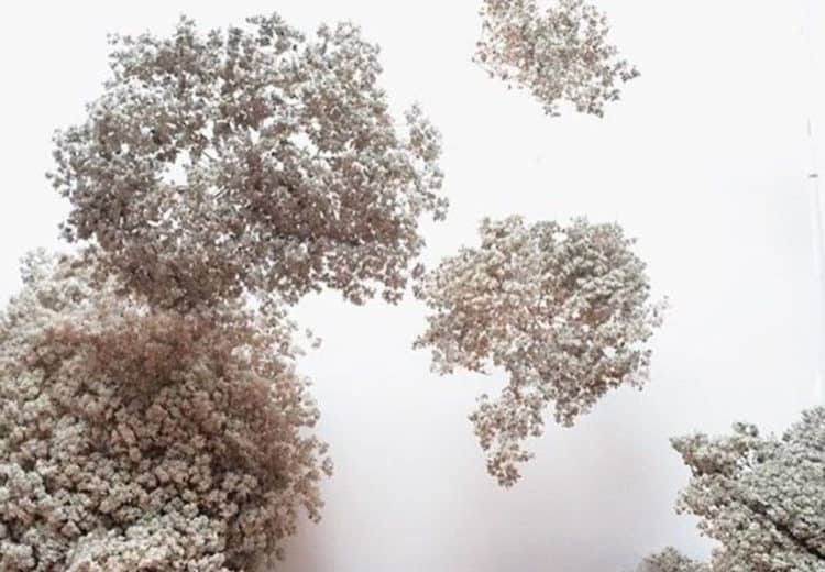 flower arrangement ideas_thumbnail