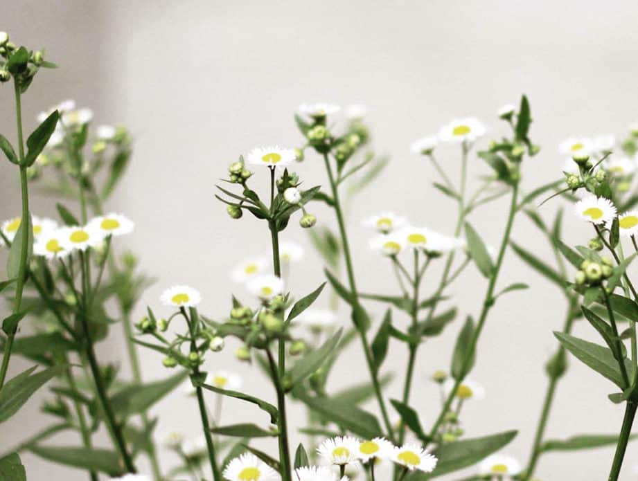 For When You Feel Ugly - Read This