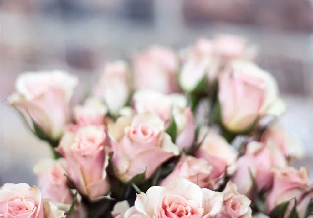 Short inspirational quotes for a positive life