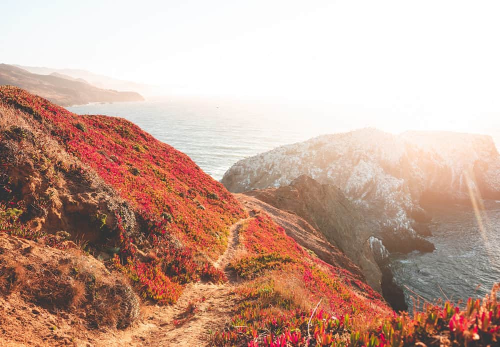 25 Ways to Show That You Care