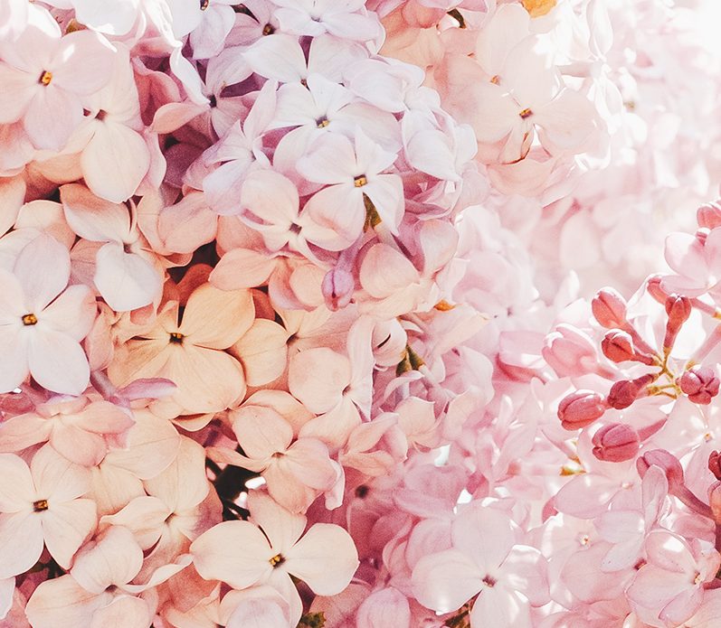list of daily positive affirmations