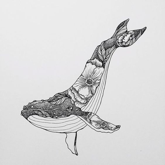 Whale Drawing Idea