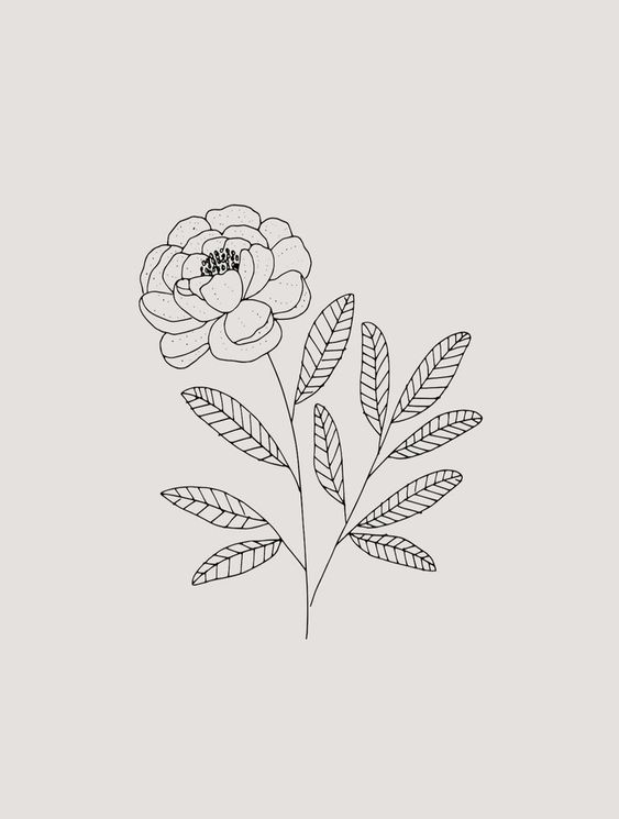 Plant Drawing Ideas