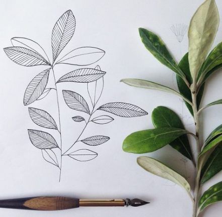 Leaf Drawing Ideas