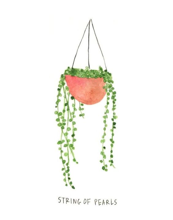Plant Drawing Ideas