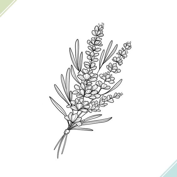 How to Draw Leaves