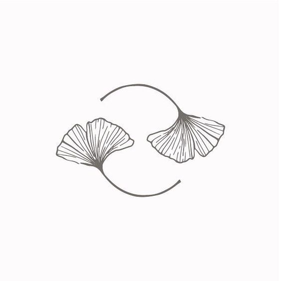 Gingko Leaf Drawing