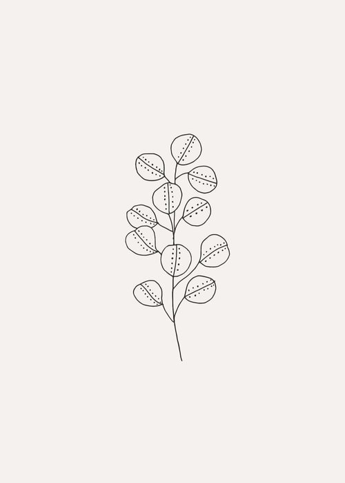 Plant Drawing Ideas