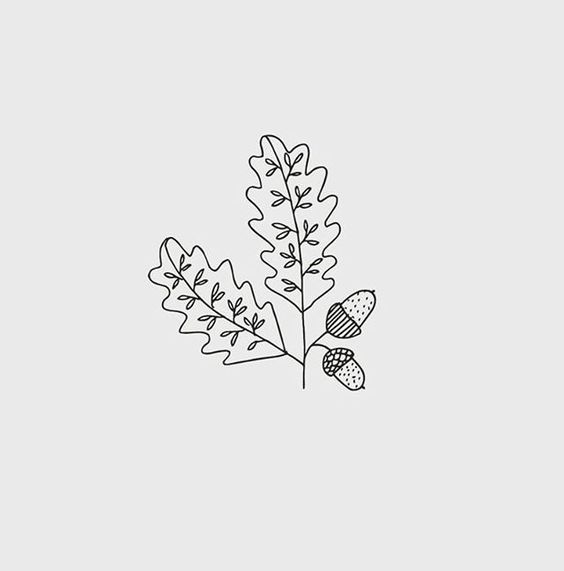Oak Leaf Drawing