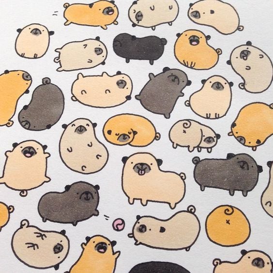 Pug Drawing