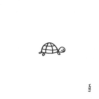 Turtle Drawing Idea