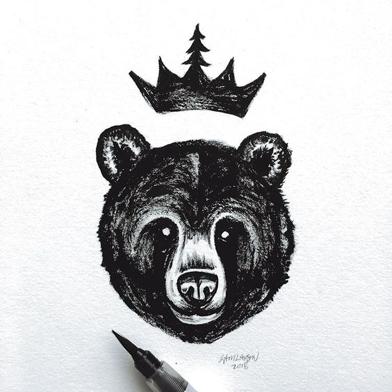 Animal Drawing Ideas