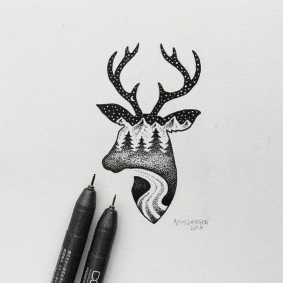 Animal Drawing Idea