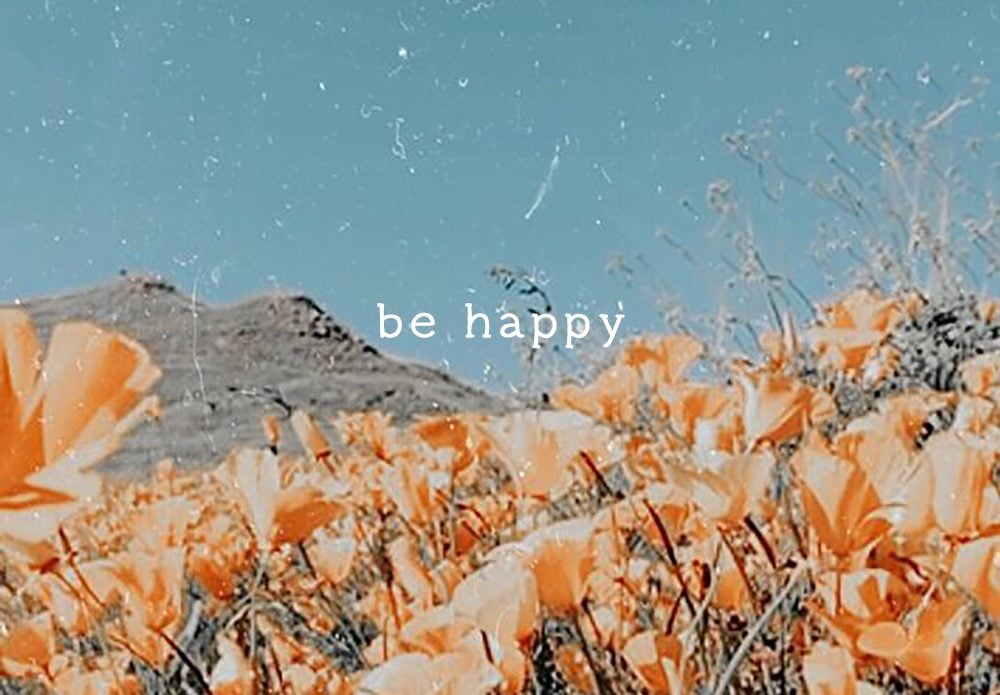 happiness quotes