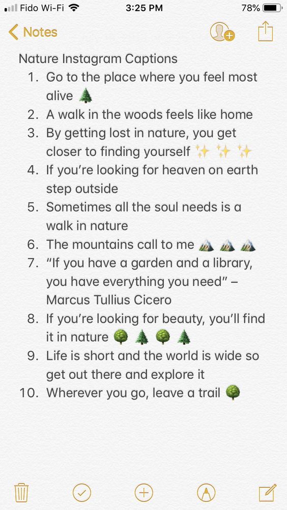 Nature Instagram Captions