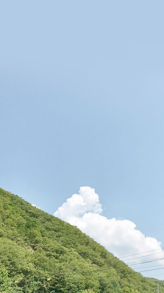 Aesthetic Phone Wallpaper Background Ideas