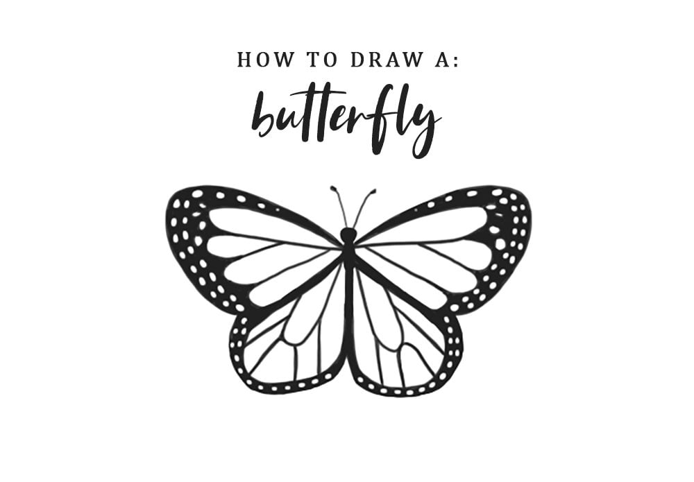 how to draw a butterfly