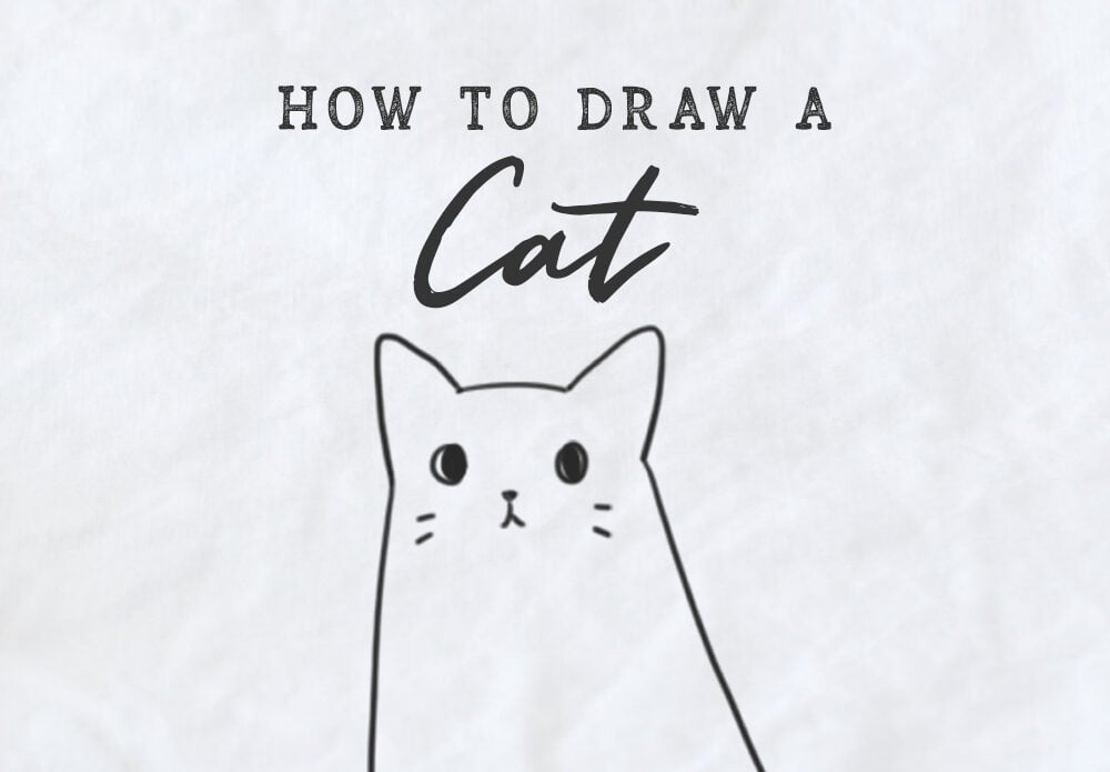 how to draw a cat