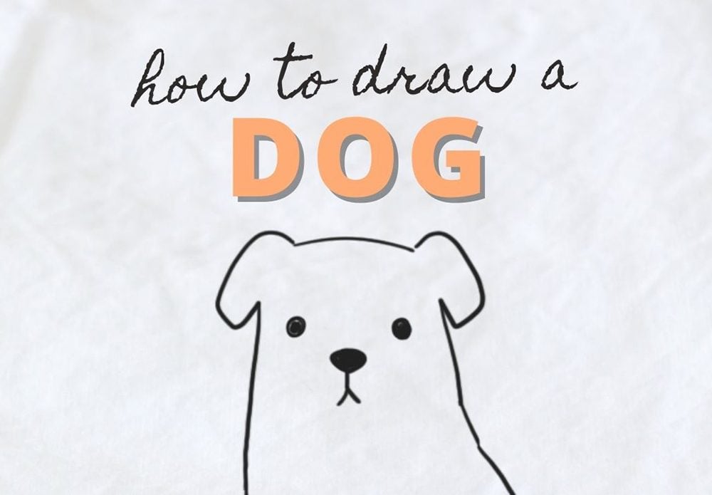 how to draw a dog easy step by step