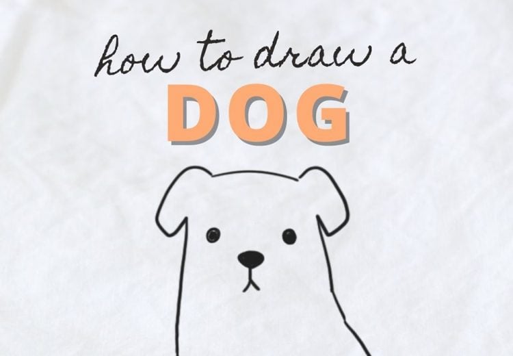 how to draw a dog easy step by step