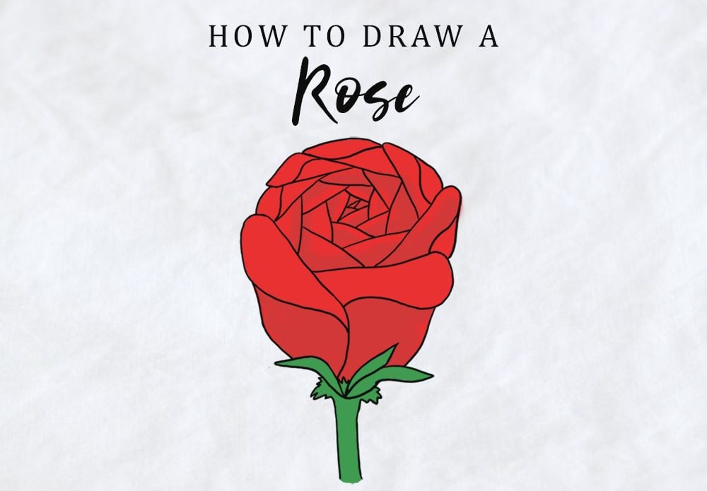 how to draw a rose easy