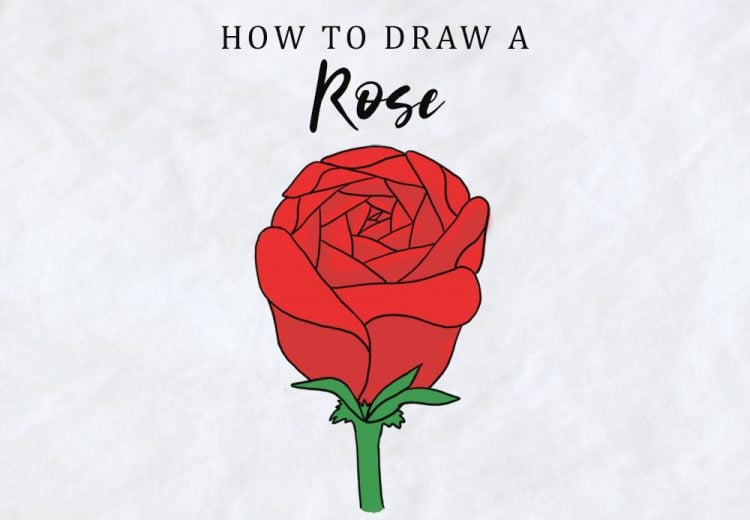 how to draw a rose easy