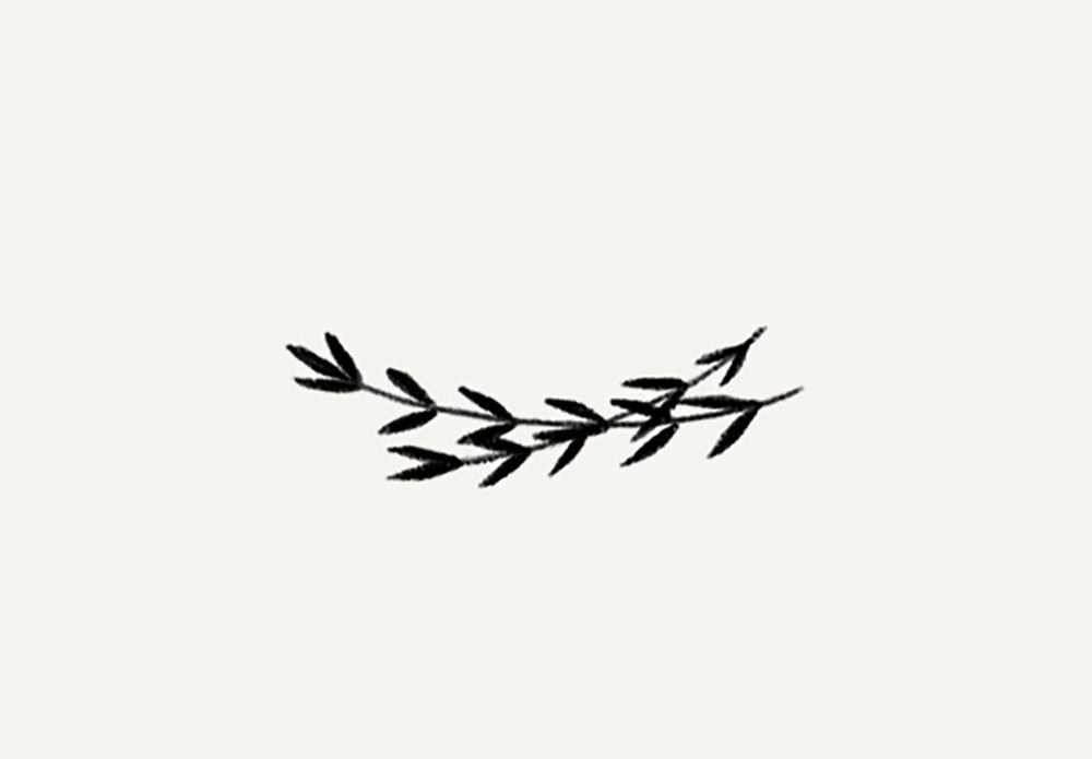 how to draw plants