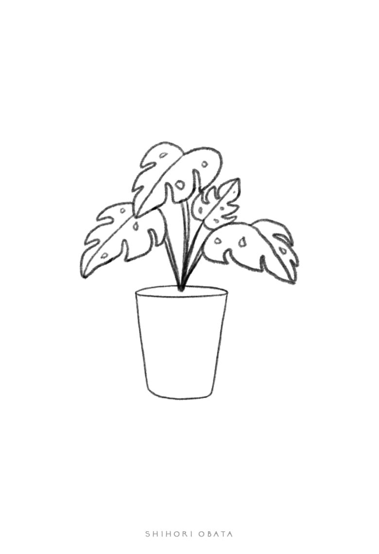 30 Easy Ways to Draw Plants & Leaves