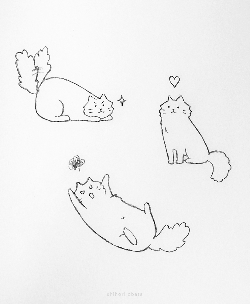 easy cute cat drawing