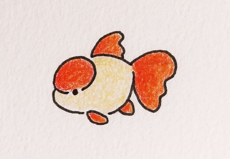 easy fish drawing ideas goldfish ranchu