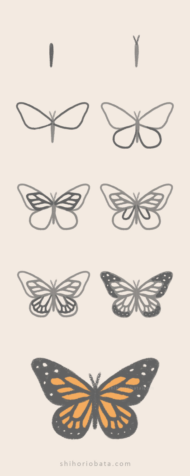 20 Easy Butterfly Drawing Ideas