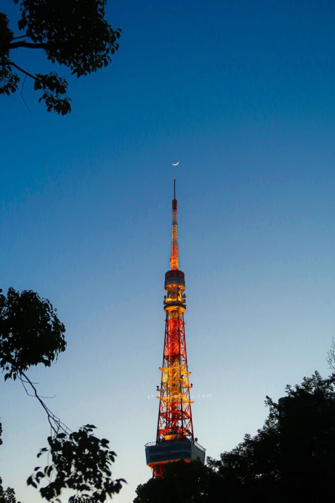 tokyo tower moon